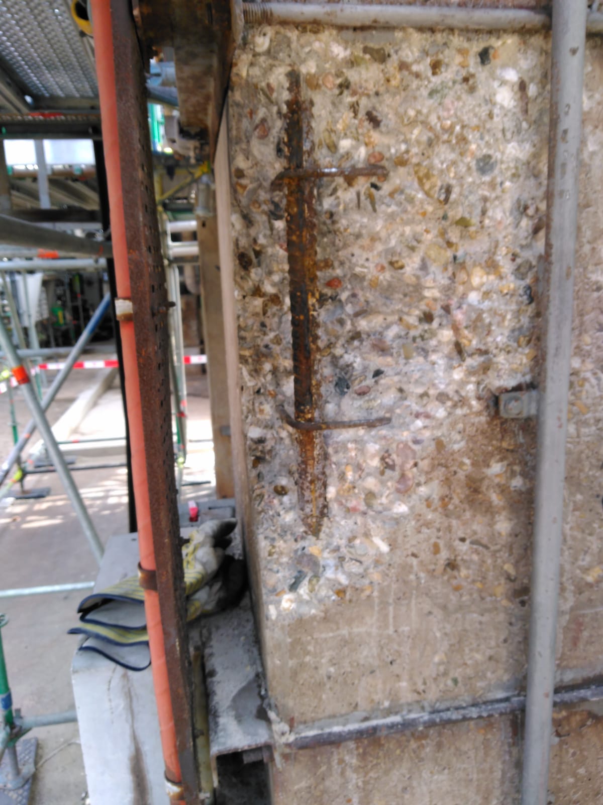 WhatsApp Image 2026-02-27 at 19.01.09a