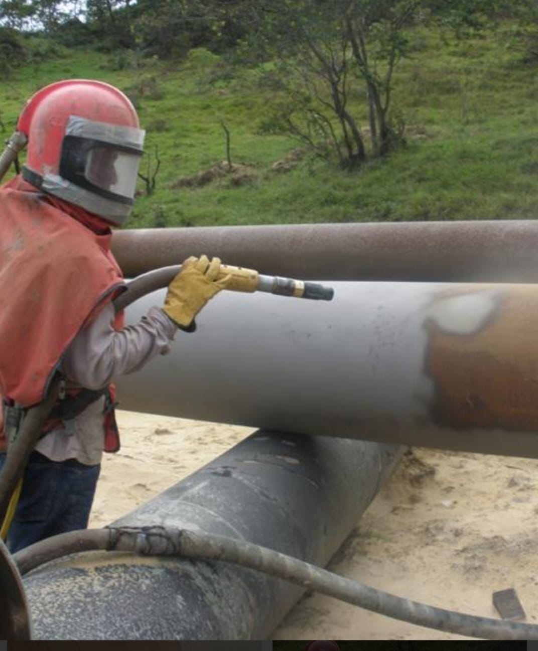 WhatsApp Image 2026-03-01 at 14.25.04a